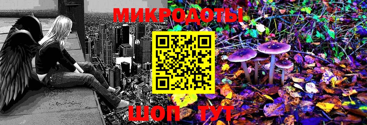 Псилоцибиновые грибы Cubensis Белогорск