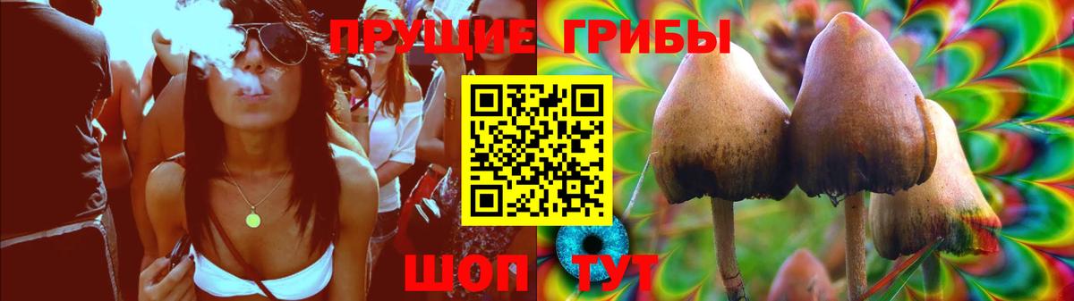 Псилоцибиновые грибы Psilocybe  Вход с VPN  Псилоцибиновые грибы прущие грибы  Белогорск 